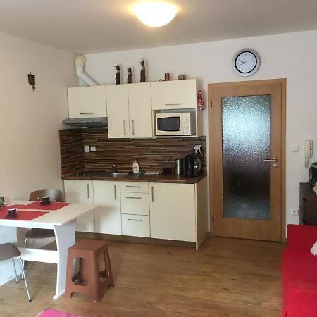 Appartamento Apartmán Na Pohodu 25 Lipno nad Vltavou Esterno foto